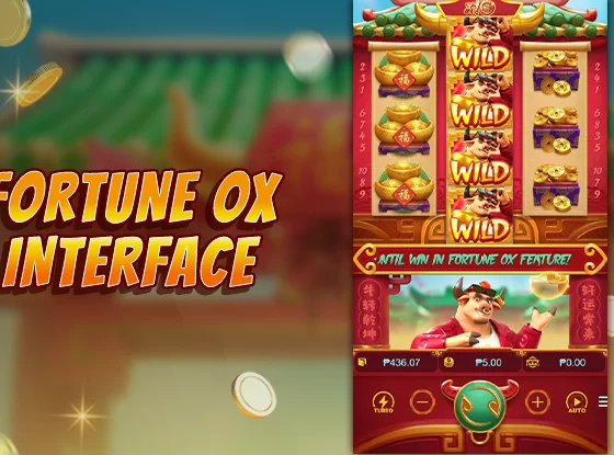 Slot Volatility Explained Beginner Guide 2026